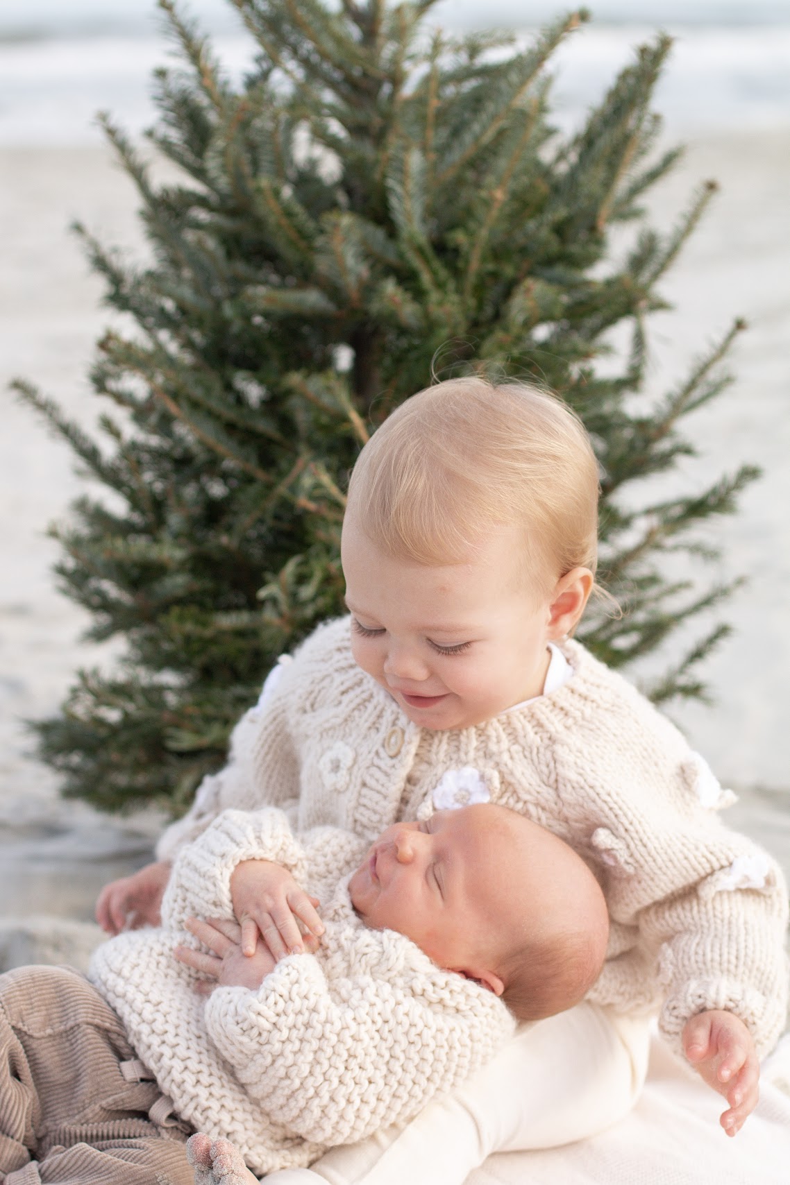 Toddler holding a newborn baby in front of a small pine tree